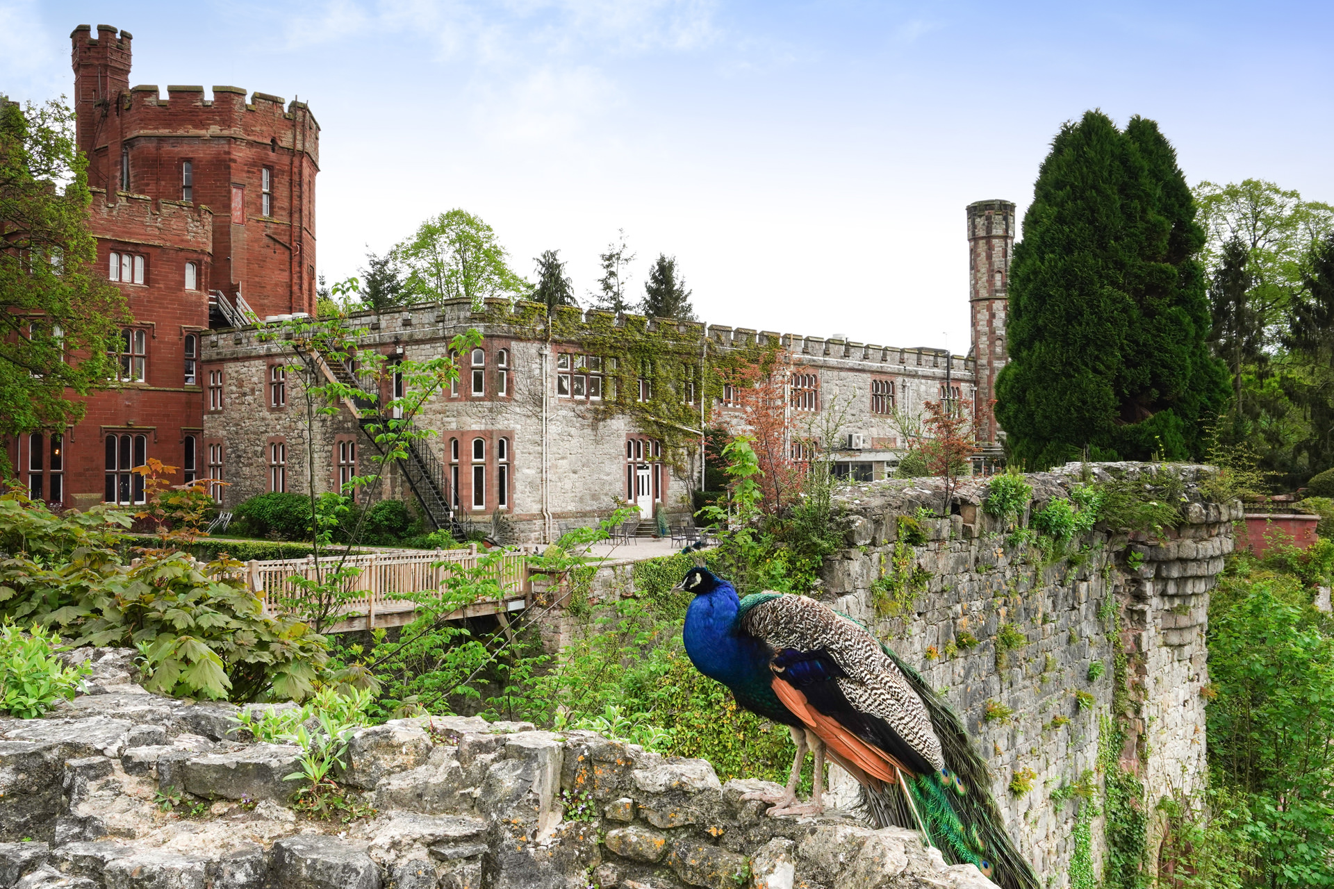 Ruthin Castle, Hotel and Spa