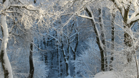 Copy-of-Elemis-Autumn-Spa1