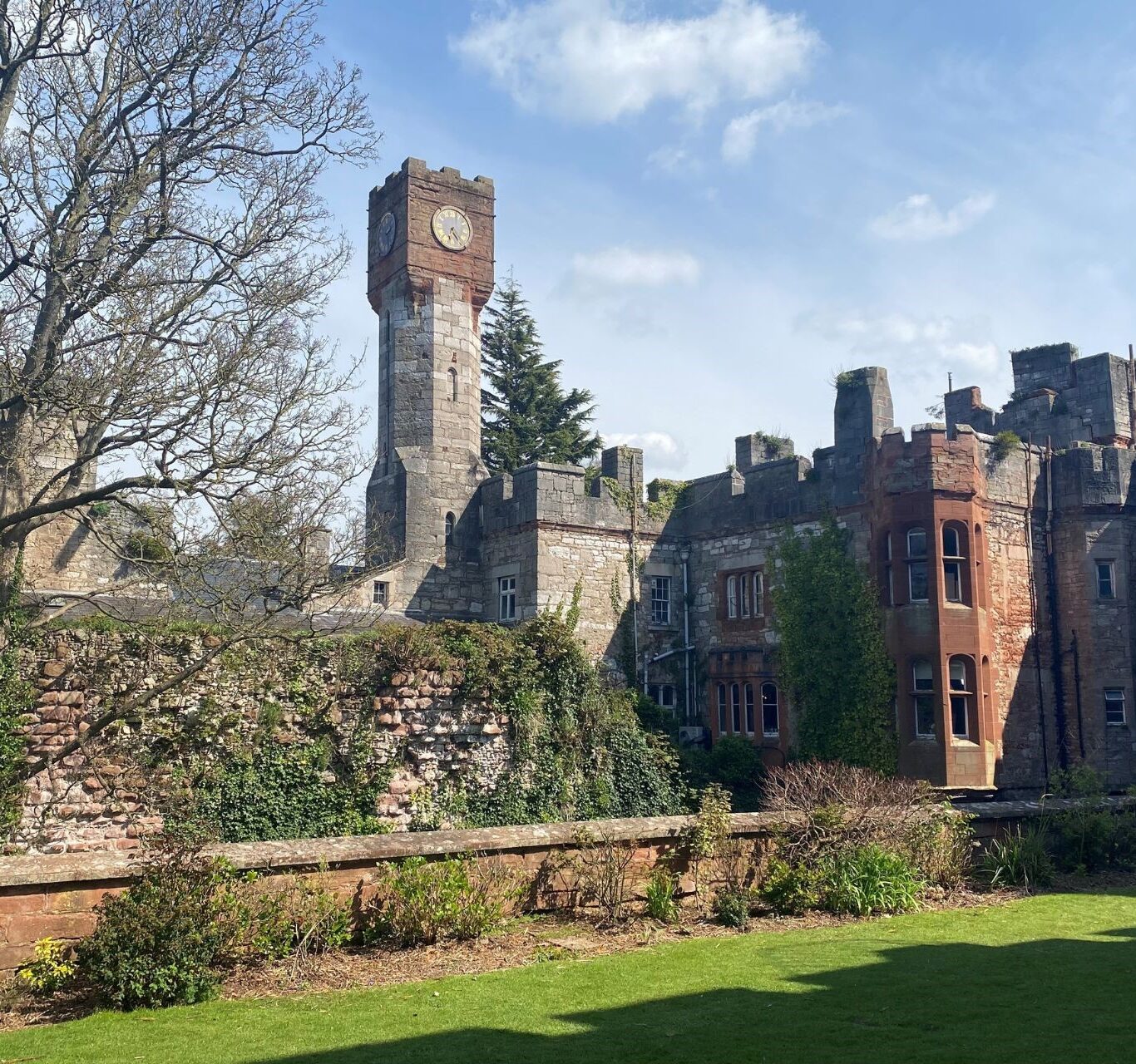 Untitled design – 1