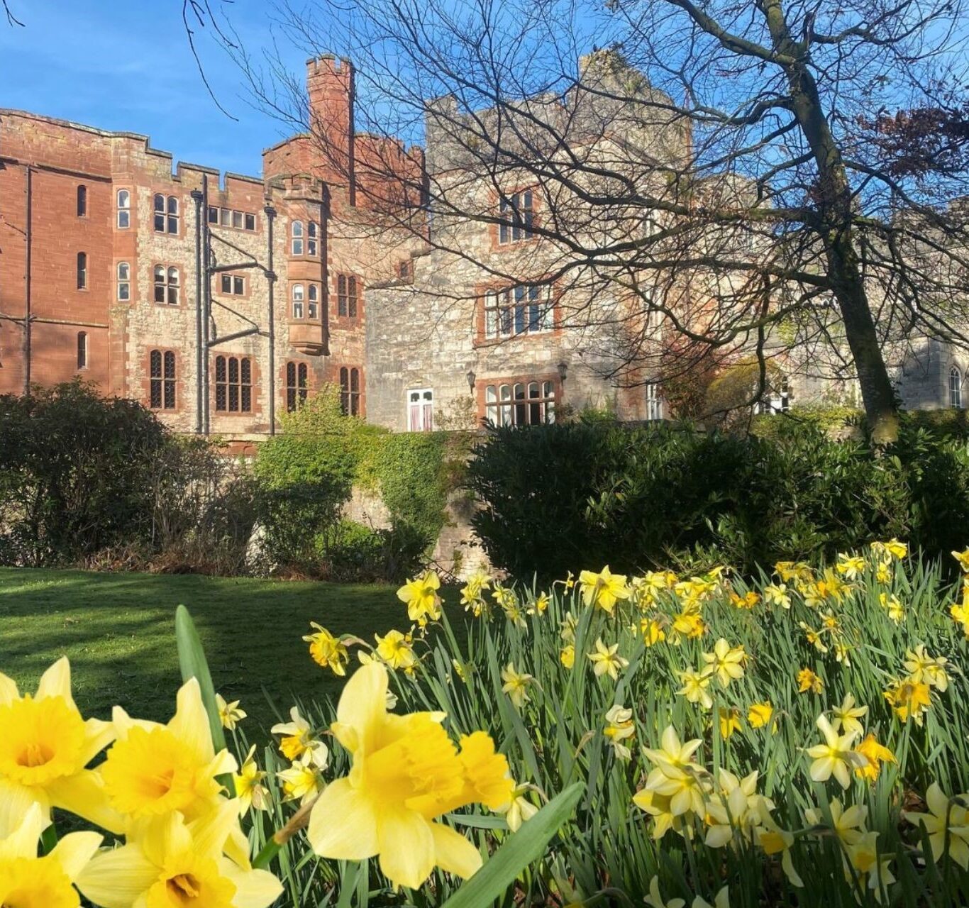 Untitled design &ndash; 1